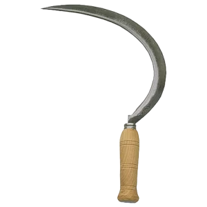 HOZ CANARIA DENTADA 37CM